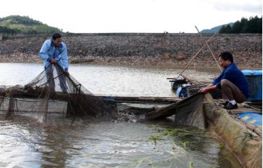 Người dân nuôi cá lồng tại khu vực chứa nước đập thủy điện Khao Mang Thượng, huyện Mù Cang Chải. Ảnh minh họa