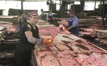 Đẩy mạnh phát triển các Cụm công nghiệp tại huyện Yên Bình đã góp phần tạo thêm nhiều việc làm cho lao động địa phương