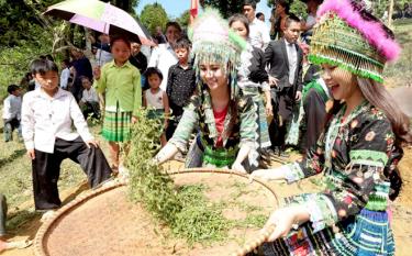 Đến với Lễ hội Trà Shan tuyết huyện Văn Chấn, du khách sẽ được tham gia, trải nghiệm nhiều hoạt động hấp dẫn.