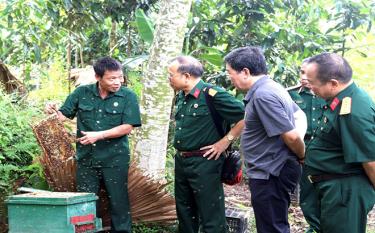 Mô hình phát triển kinh tế nuôi ong lấy mật của cựu chiến binh Đoàn Văn Vân, phường Hợp Minh, thành phố Yên Bái.