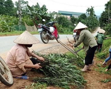 Hội viên phụ nữ xã Quy Mông tham gia trồng các tuyến đường hoa.
