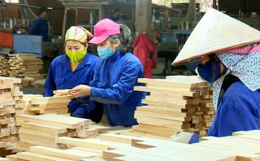 Một cơ sở chế biến gỗ ván ghép thanh xuất khẩu trên địa bàn huyện Trấn Yên.