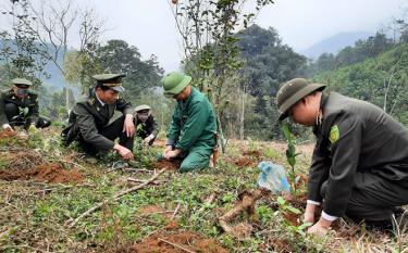 Cán bộ kiểm lâm huyện Lục Yên hướng dẫn người dân kỹ thuật trồng rừng.