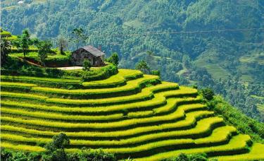 Sapa có khí hậu dễ chịu, không khí trong lành, cảnh sắc thiên nhiên hùng vĩ, tuyệt đẹp với những thửa ruộng bậc thang, thác nước ẩn mình giữa núi rừng. Ảnh minh họa