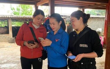 Đoàn viên thanh niên phường Pú Trạng hướng dẫn người dân sử dụng các ứng dụng trên điện thoại thông minh.