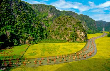 Mùa vàng Tam Cốc, Ninh Bình