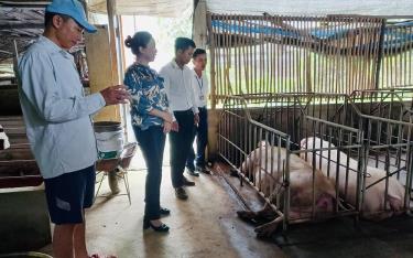 Mô hình chăn nuôi lợn của gia đình ông Nguyễn Văn Tươm, thôn Yên Định, xã Hưng Thịnh.