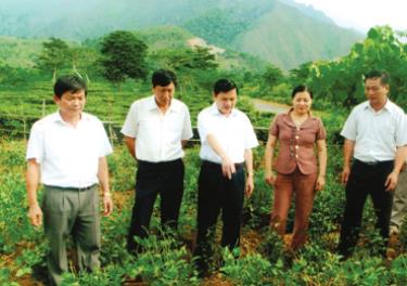 Đồng Chí Dương Văn Thống - Thường vụ Tỉnh ủy, Bí thư Huyện ủy Văn Chấn (đứng giữa) cùng các đồng chí lãnh đạo huyện kiểm tra chất lượng cải tạo chè giống mới LDP1, LDP2 tại thị trấn Nông trường Nghĩa Lộ.
(Ảnh: Minh Hằng)