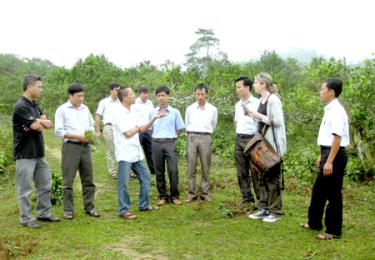 Đoàn công tác của tỉnh Valdemarne thăm vùng chè Shan tuyết  xã Suối Giàng, huyện Văn Chấn