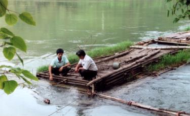 Nuôi cá lồng trên hồ Thác Bà đang phát huy hiệu quả.
