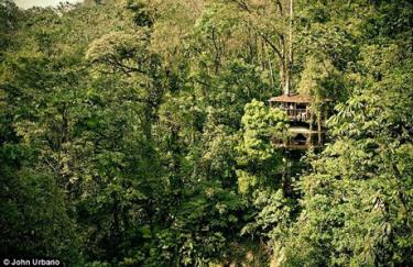 Ngôi làng trên cây xuất hiện ở Finca Bellavista (Costa Rica).