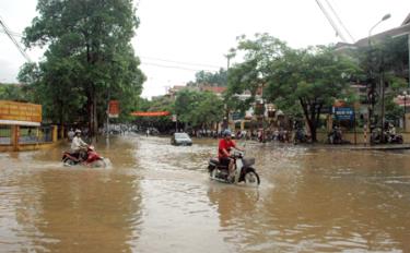 Ngập úng cục bộ trên tuyến đường Yên Ninh, TPYB