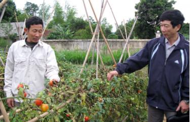 Sử dụng đồng vốn vay từ các ngân hàng có hiệu quả, nhiều hộ nông dân đã vươn lên thoát nghèo.