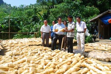 Đến nay, nhiều hộ dân xã Mai Sơn có thu nhập từ trồng măng mai trên 150 triệu đồng/năm.
Trong ảnh: Đồng chí Hoàng Văn Vui - Bí thư Huyện ủy Lục Yên kiểm tra hiệu quả mô hình trồng măng mai của gia đình anh Đoàn Văn Đà ở thôn Sơn Tây.
