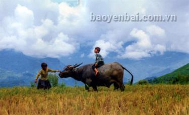 Hè vui.
(Ảnh: Lê Bác Đạt)