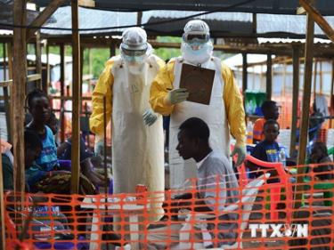 Nhân viên y tế Tổ chức Bác sỹ không biên giới điều trị cho các bệnh nhân nhiễm virus Ebola tại Kailahun, Sierra Leone ngày 15/8.