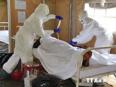 Nhân viên y tế chăm sóc một bệnh nhân nhiễm Ebola tại bệnh viện ở Biankouma, Côte d'Ivoire ngày 14/8.