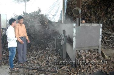 Công ty TNHH Minh Nghĩa đi vào hoạt động đã tạo việc làm thường xuyên cho gần 30 lao động địa phương.
