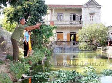 Hàng năm gia đình ông Hoàng Đình Thăng có thu nhập
từ 120 - 150 triệu đồng.
