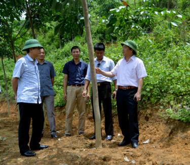 Đồng chí Hoàng Xuân Nguyên - Phó Chủ tịch UBND tỉnh kiểm tra tình hình trồng cây cao su tại xã Nậm Mười, huyện Văn Chấn.