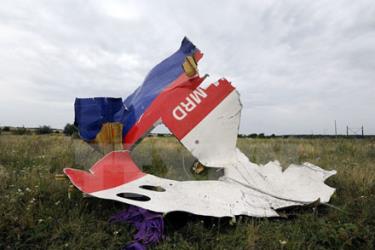 Xác máy bay MH17 tại Shaktarsk, miền Đông Ukraine.