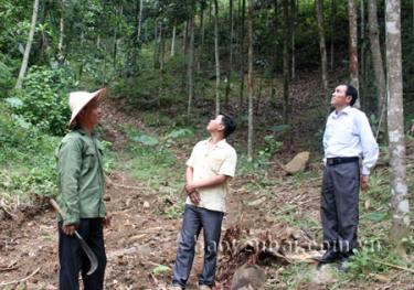 Bí thư Chi bộ thôn Trạng Nông Văn Quý (bên trái) gương mẫu đi đầu phát triển kinh tế gia đình.
