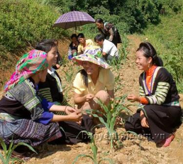 Cán bộ kỹ thuật truyền đạt kỹ thuật trồng và chăm sóc ngô cho đồng bào Mông xã Hồ Bốn nhằm nâng cao năng suất, sản lượng ngô hàng hóa. (Ảnh: Minh Quang)