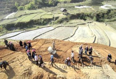 Đồng bào Mông xã Khao Mang khai hoang ruộng bậc thang.