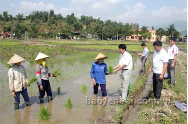 Lãnh đạo xã Nghĩa Phúc kiểm tra tình hình sản xuất trên địa bàn.
