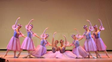 Một tiết mục múa ballet tại Giai điệu mùa thu 2011.