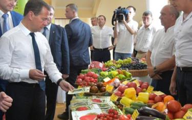 Thủ tướng Nga Medvedev xem mặt hàng rau củ.