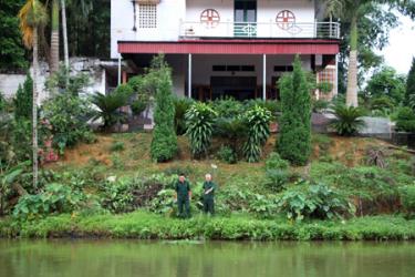 Ao cá thương phẩm và cơ ngơi khang trang của cựu chiến binh Văn Hữu Khanh.
