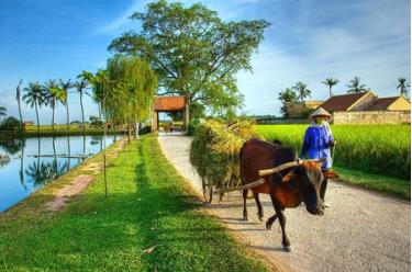 Nông nghiệp, nông dân, nông thôn đang có những chuyển biến lớn, tích cực tạo đà cho việc phát triển kinh tế - xã hội bền vững ở nông thôn.