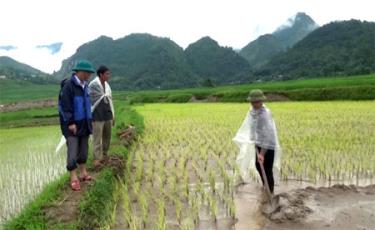 Lãnh đạo xã Tú Lệ động viên nhân dân khôi phục sản xuất.