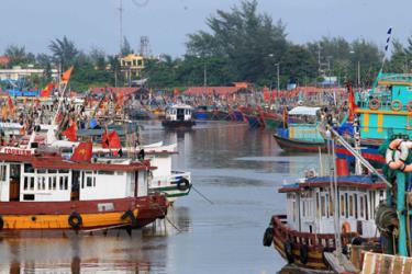 Tàu, thuyền neo đậu tránh bão an toàn tại khu cảng cá Ngọc Hải, Đồ Sơn, Hải Phòng.