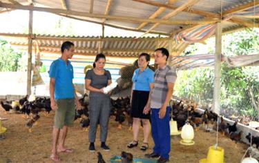 Chị Hoàng Thị Ánh Tuyết hướng dẫn kỹ thuật chăm sóc gà cho gia đình anh Lê Minh Hồng - thôn Tân Việt, xã Quy Mông huyện Trấn Yên.
