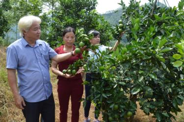 Lãnh đạo xã Việt Hồng trao đổi với nhân dân bản Din về phát triển mô hình trồng cây ăn quả. 
