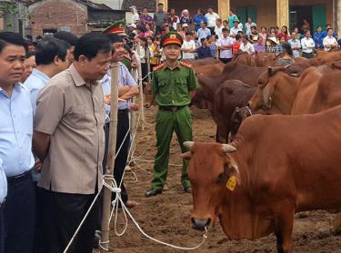 Bộ trưởng Bộ Nông nghiệp và Phát triển nông thôn Nguyễn Xuân Cường và Chủ tịch UBND thành phố Hà Nội Nguyễn Đức Chung thăm mô hình phát triển chăn nuôi bò chất lượng cao tại huyện Ba Vì