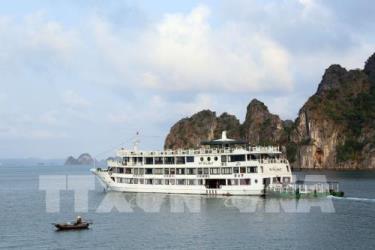 Tàu du lịch trên vịnh Hạ Long.