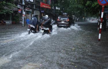 Tuyến phố Cát Dài, Hải Phòng bị ngập.