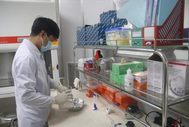 Xét nghiệm COVID-19 tại Viện Pasteur Nha Trang