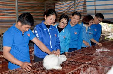 Bí thư Tỉnh đoàn Đoàn Thị Thanh Tâm (thứ 2, bên trái) tham quan Hợp tác xã Thanh niên Lâm Thượng của đoàn viên Phạm Hải Chiều tại xã Lâm Thượng, huyện Lục Yên.