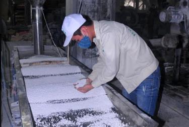 Công nhân Công ty TNHH EcoGreenPlasticjsc (Yên Bình) kiểm tra hàng xuất khẩu.