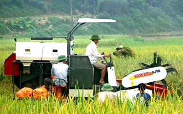 Nông dân Văn Yên đưa cơ giới hóa vào sản xuất.