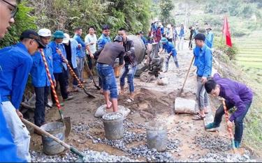 Tuổi trẻ huyện Văn Chấn tham gia bê tông đường giao thông nông thôn.