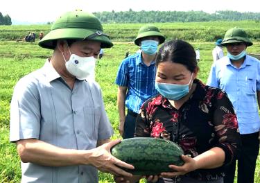 Đồng chí Đỗ Đức Duy - Ủy viên Ban Chấp hành Trung ương Đảng, Bí thư Tỉnh ủy thăm mô hình trồng dưa hấu trên đất bán ngập vùng Đông hồ.