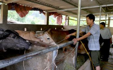 As many local families can borrow loans and receive technical training in animal husbandry, they are able to escape from poverty.