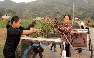 Hội viên Chi hội Nông dân thôn Bản Vần, xã Việt Hồng, huyện Trấn Yên tổ chức vệ sinh đường làng, ngõ xóm, tạo môi trường xanh - sạch - đẹp. Ảnh Minh Huyền