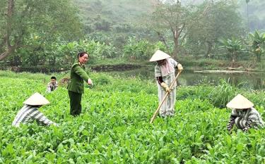 Phạm nhân Trại Tạm giam, Công an tỉnh thi đua học tập, cải tạo tốt để sớm trở về với gia đình và xã hội.