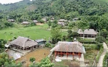 Khánh Thiện xanh.